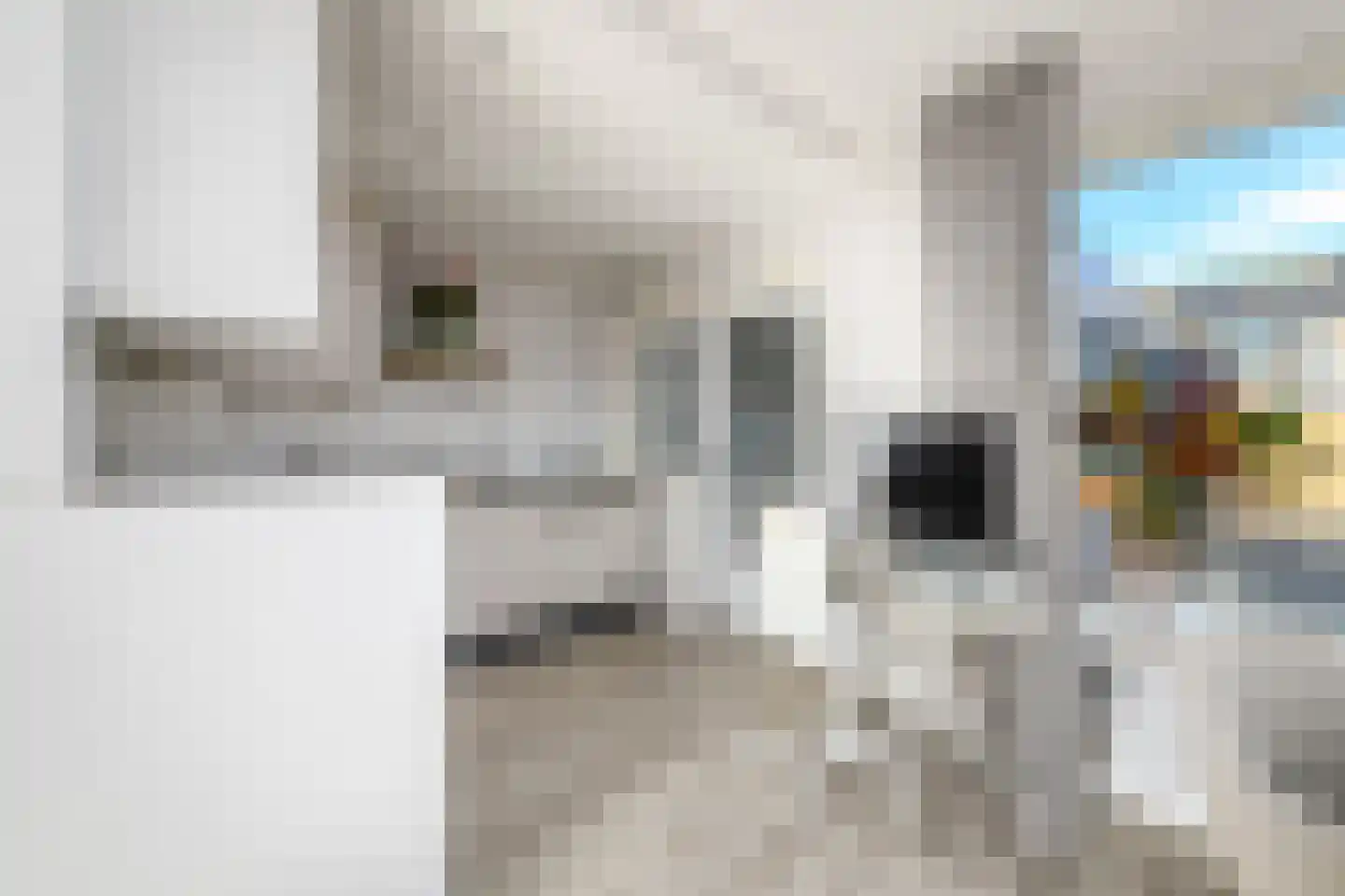 Herenweg 47 Oosterzee thumbnail 11