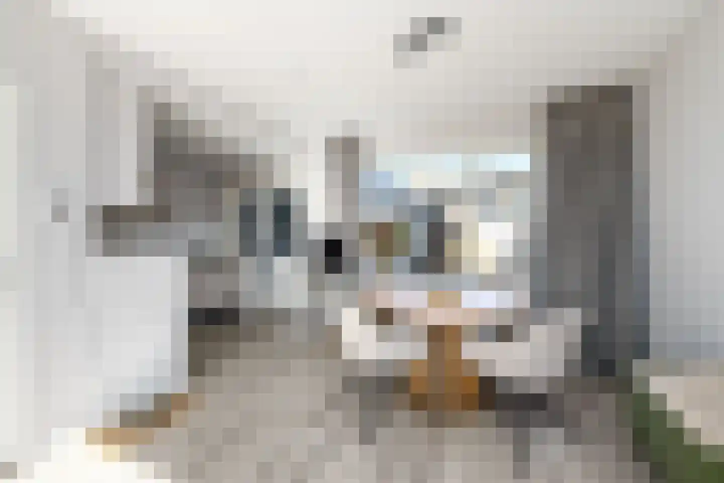 Herenweg 47 Oosterzee thumbnail 7