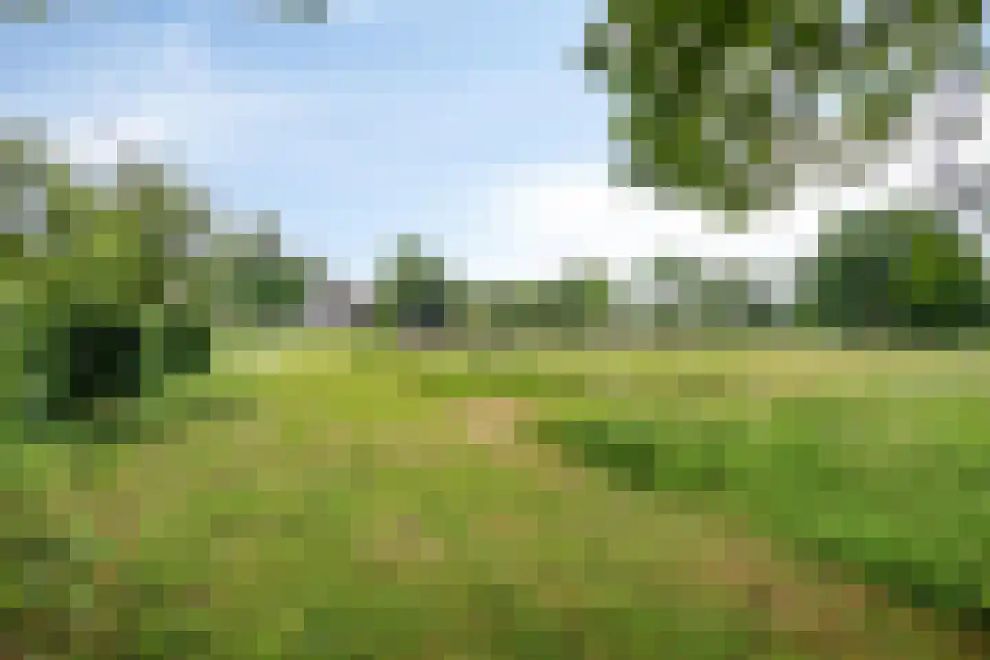 Herenweg 49 Donkerbroek thumbnail 48