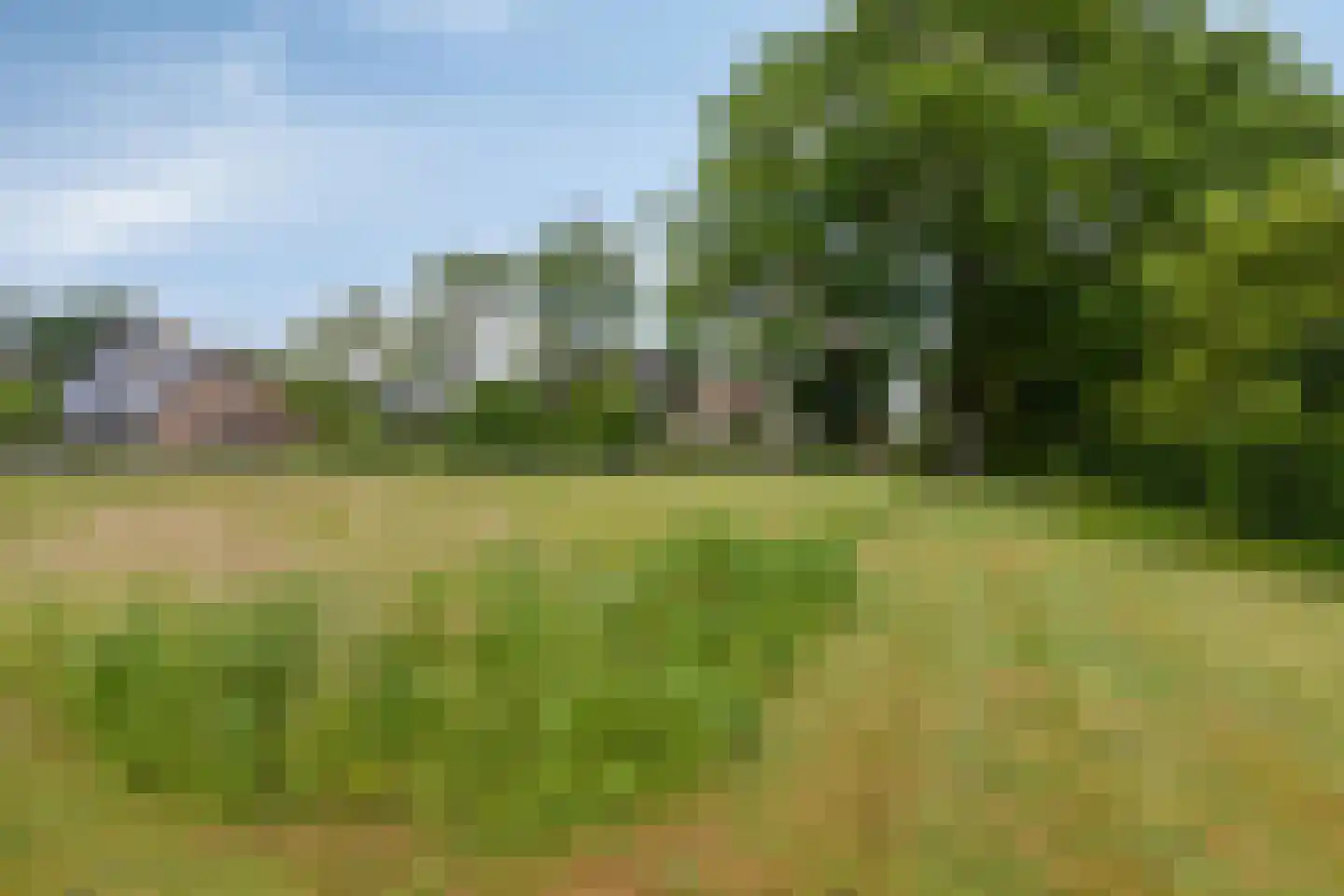 Herenweg 49 Donkerbroek thumbnail 49