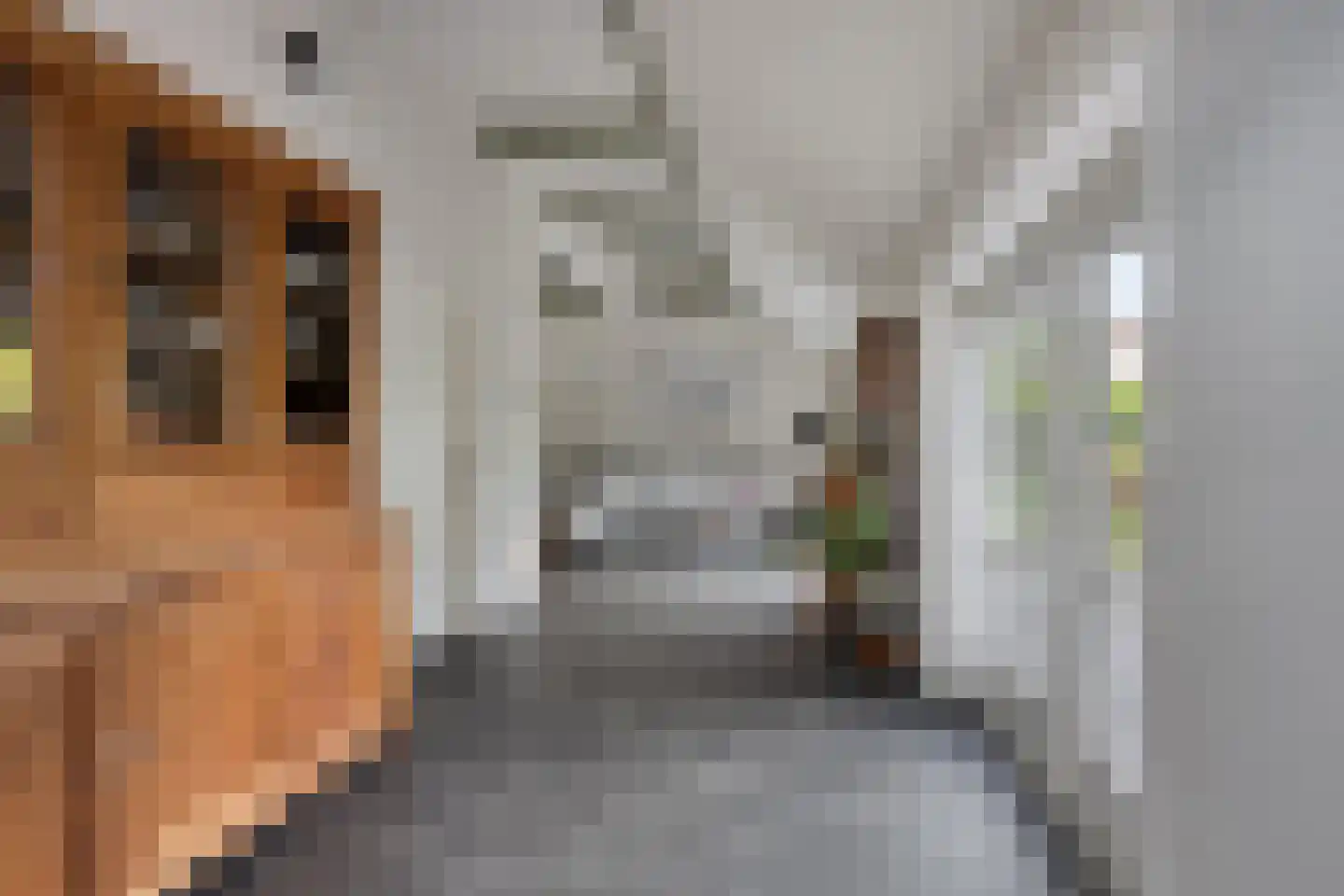 Herenweg 49 Donkerbroek thumbnail 7