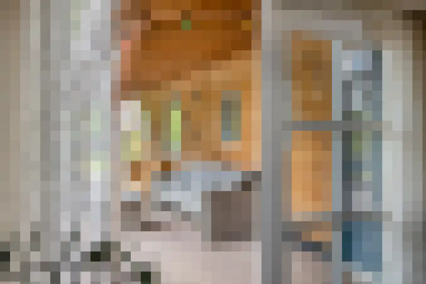 Herenweg 49 Donkerbroek thumbnail 8