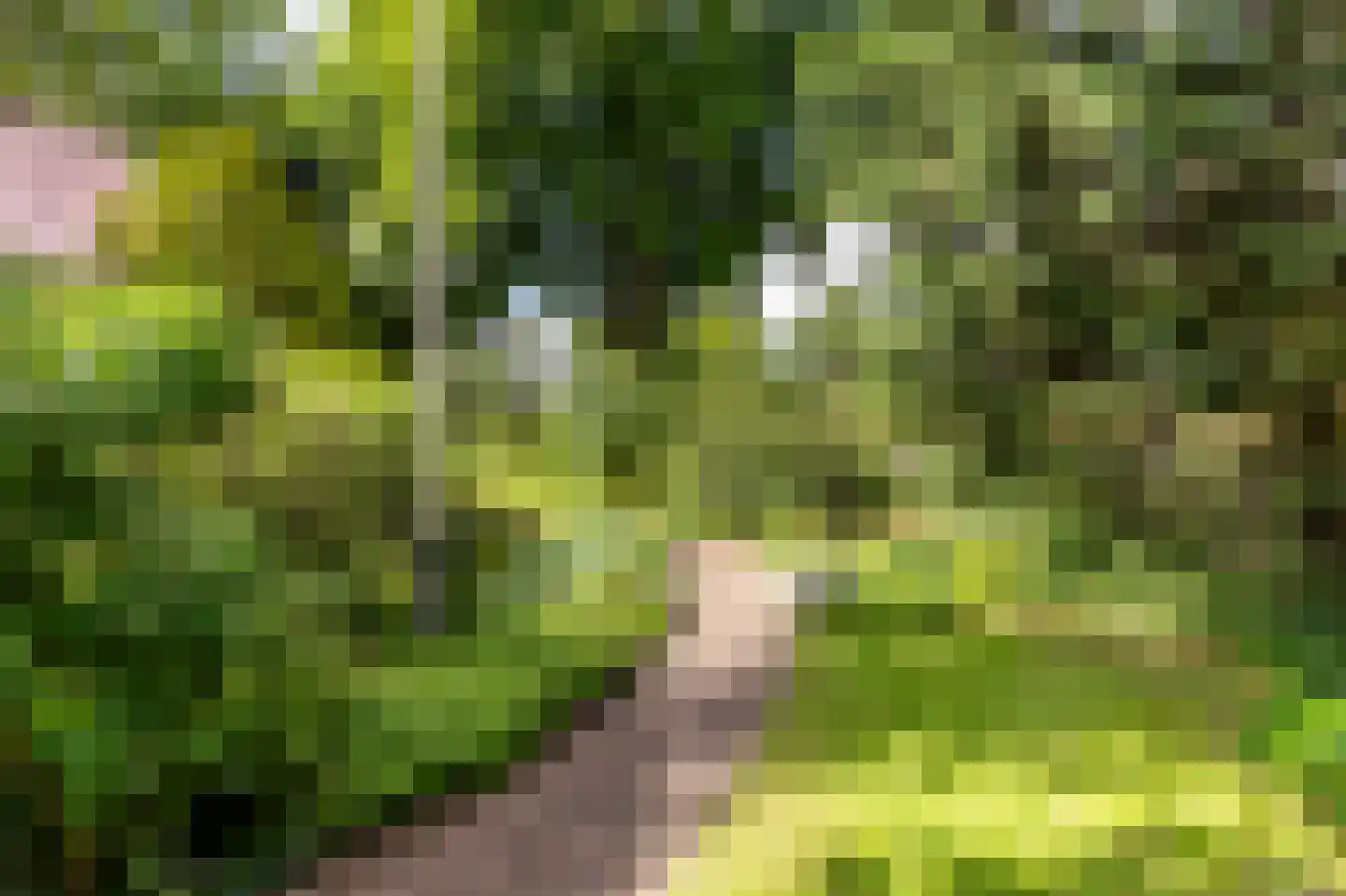 Herenweg 50 Heemstede thumbnail 7
