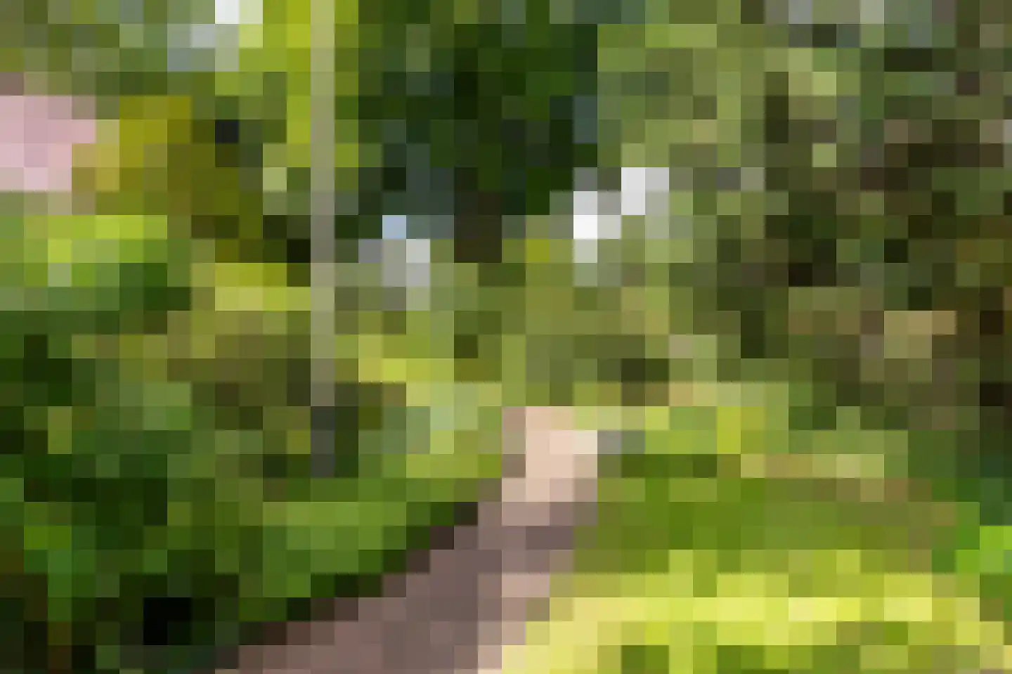 Herenweg 50 Heemstede thumbnail 7
