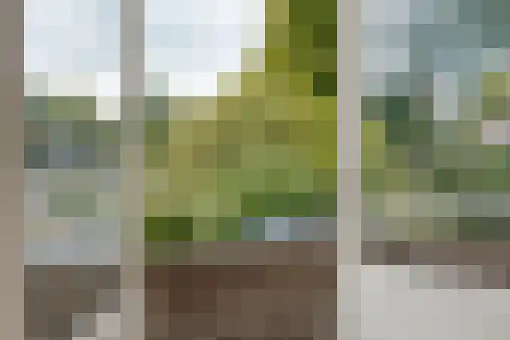Herenweg 50 Zwolle thumbnail 31