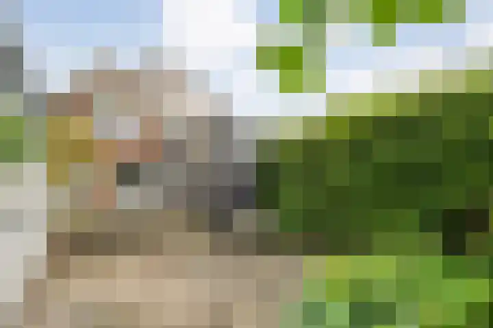 Herenweg 50 Zwolle thumbnail 37