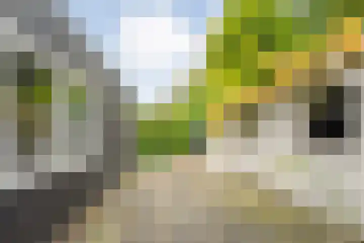 Herenweg 50 Zwolle thumbnail 39