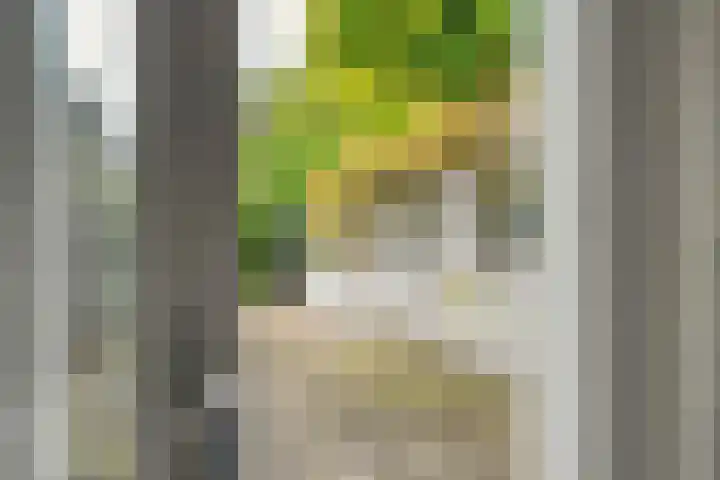 Herenweg 50 Zwolle thumbnail 8