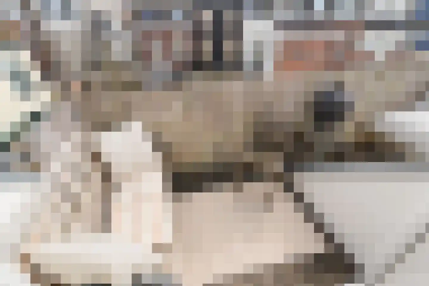 Herenweg 53 B Utrecht thumbnail 16