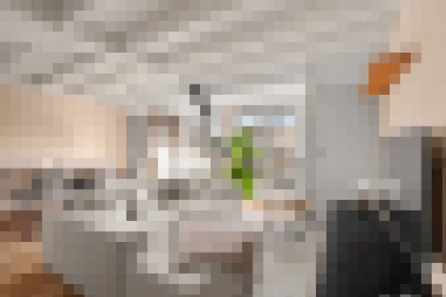 Herenweg 53 B Utrecht thumbnail 6