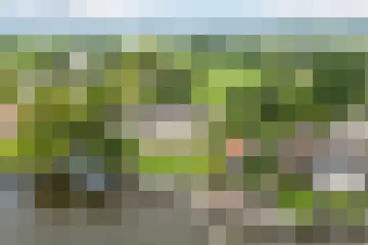 Herenweg 53 Breukeleveen thumbnail 58