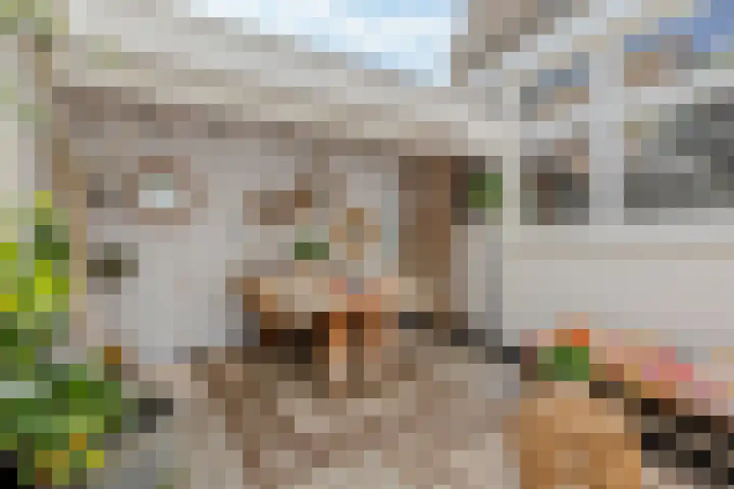 Herenweg 53 Utrecht thumbnail 11