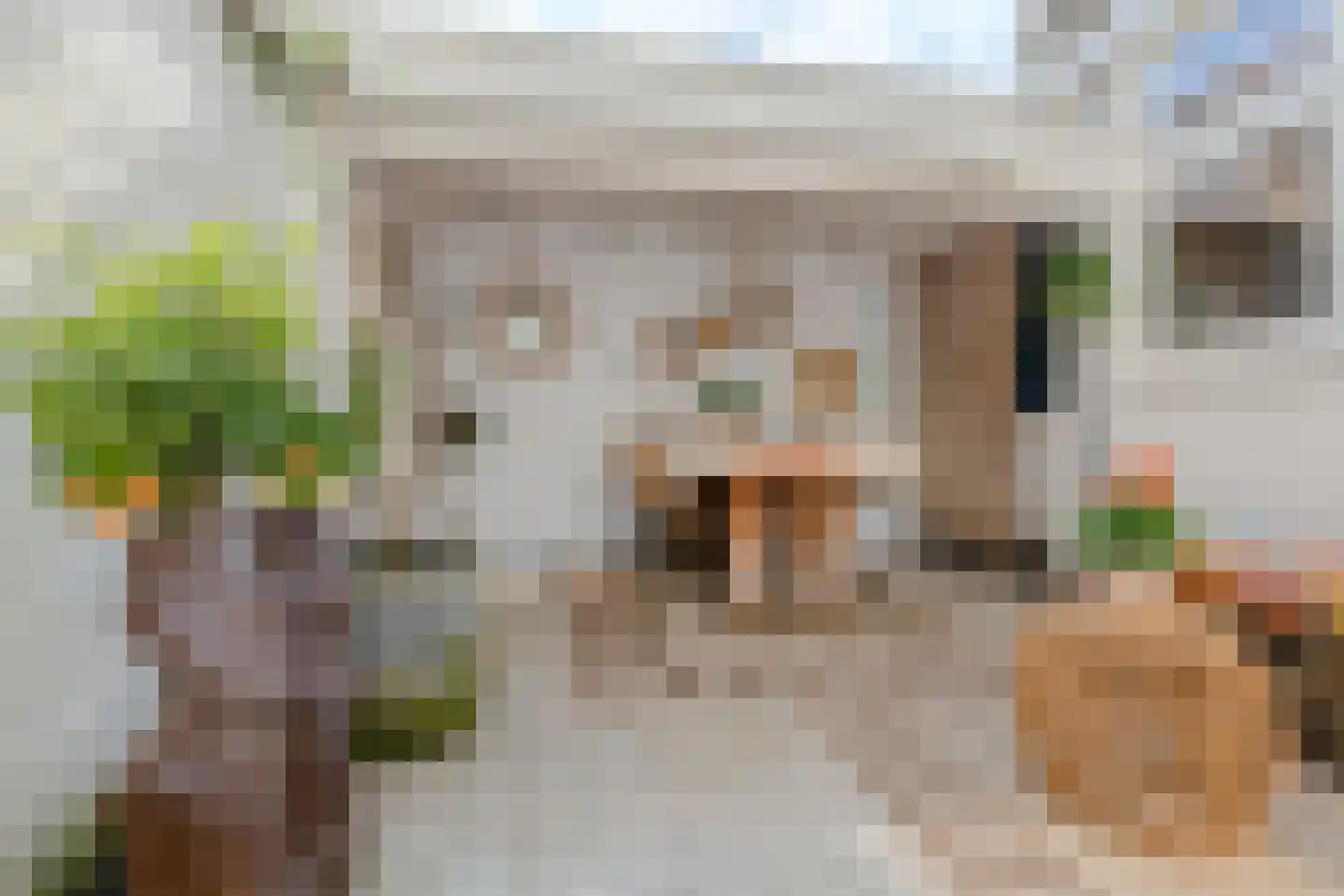 Herenweg 53 Utrecht thumbnail 8