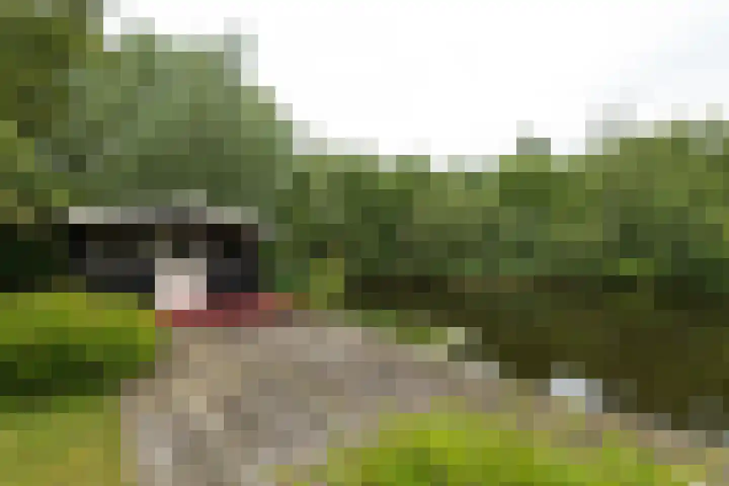 Herenweg 56 Breukeleveen thumbnail 39