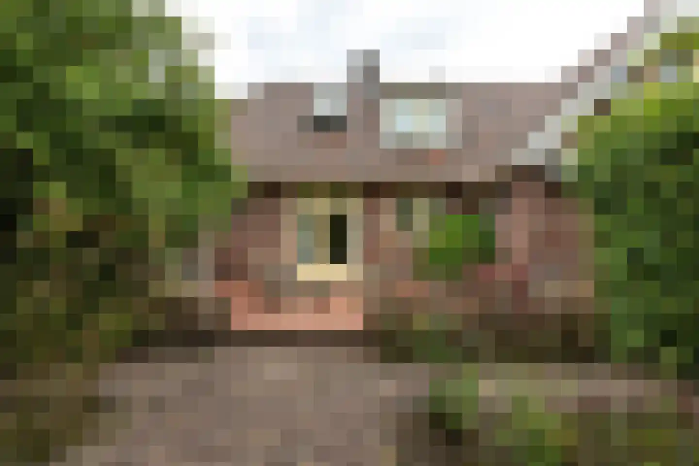 Herenweg 56 Breukeleveen thumbnail 43