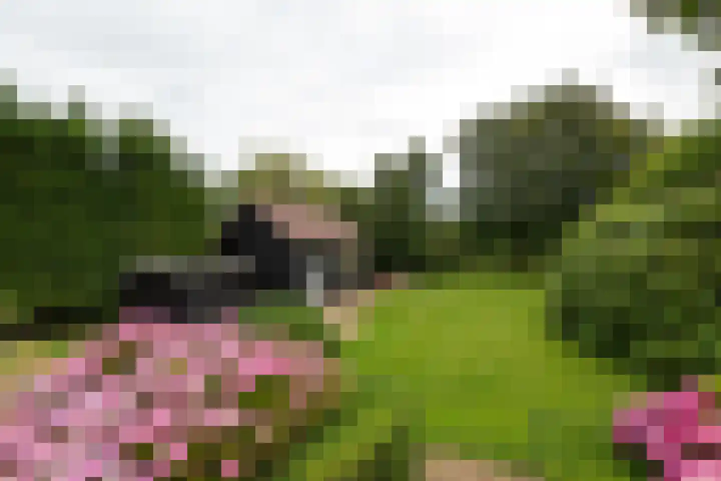 Herenweg 56 Breukeleveen thumbnail 45