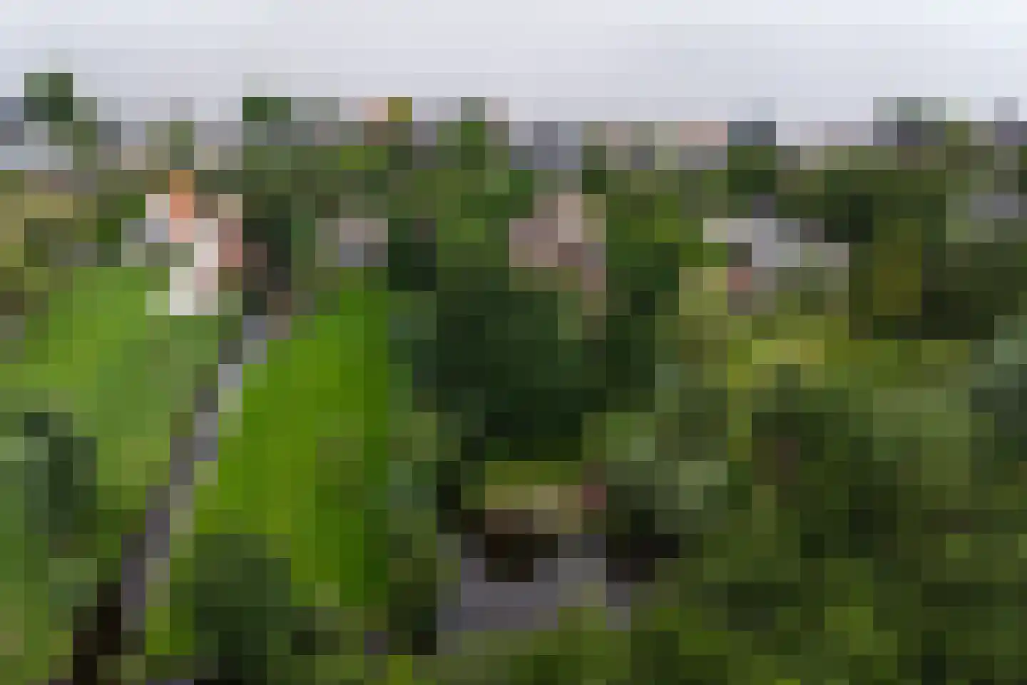 Herenweg 56 Breukeleveen thumbnail 46