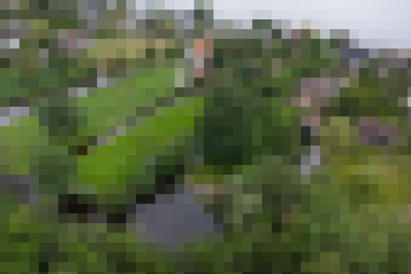 Herenweg 56 Breukeleveen thumbnail 47
