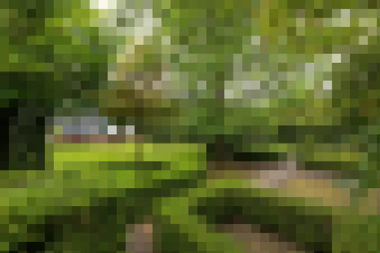 Herenweg 56 Breukeleveen thumbnail 5