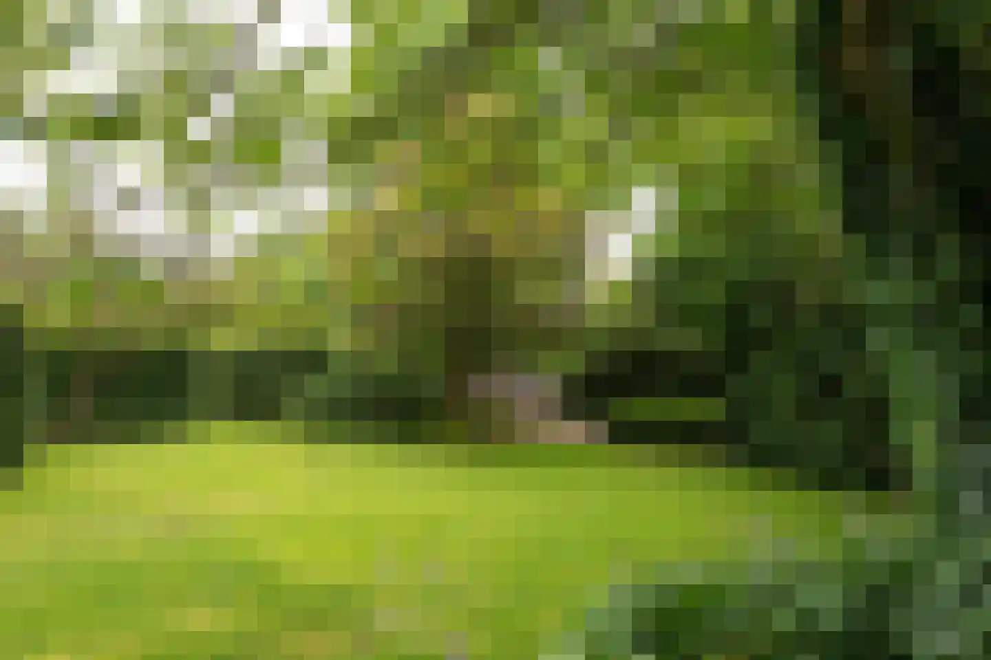 Herenweg 56 Breukeleveen thumbnail 6