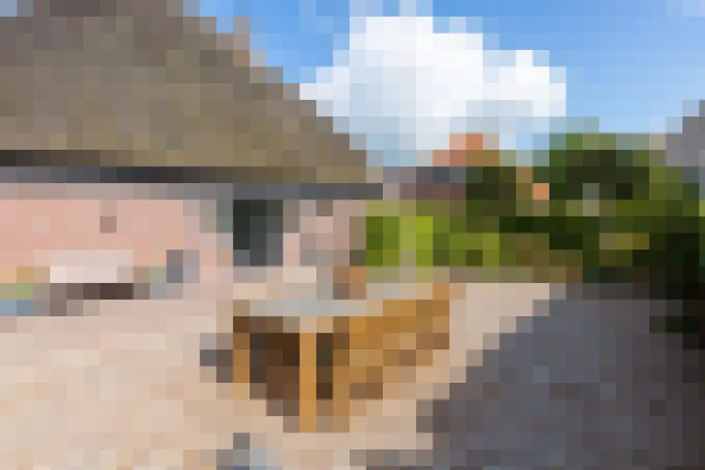 Herenweg 57 Hoogwoud thumbnail 62