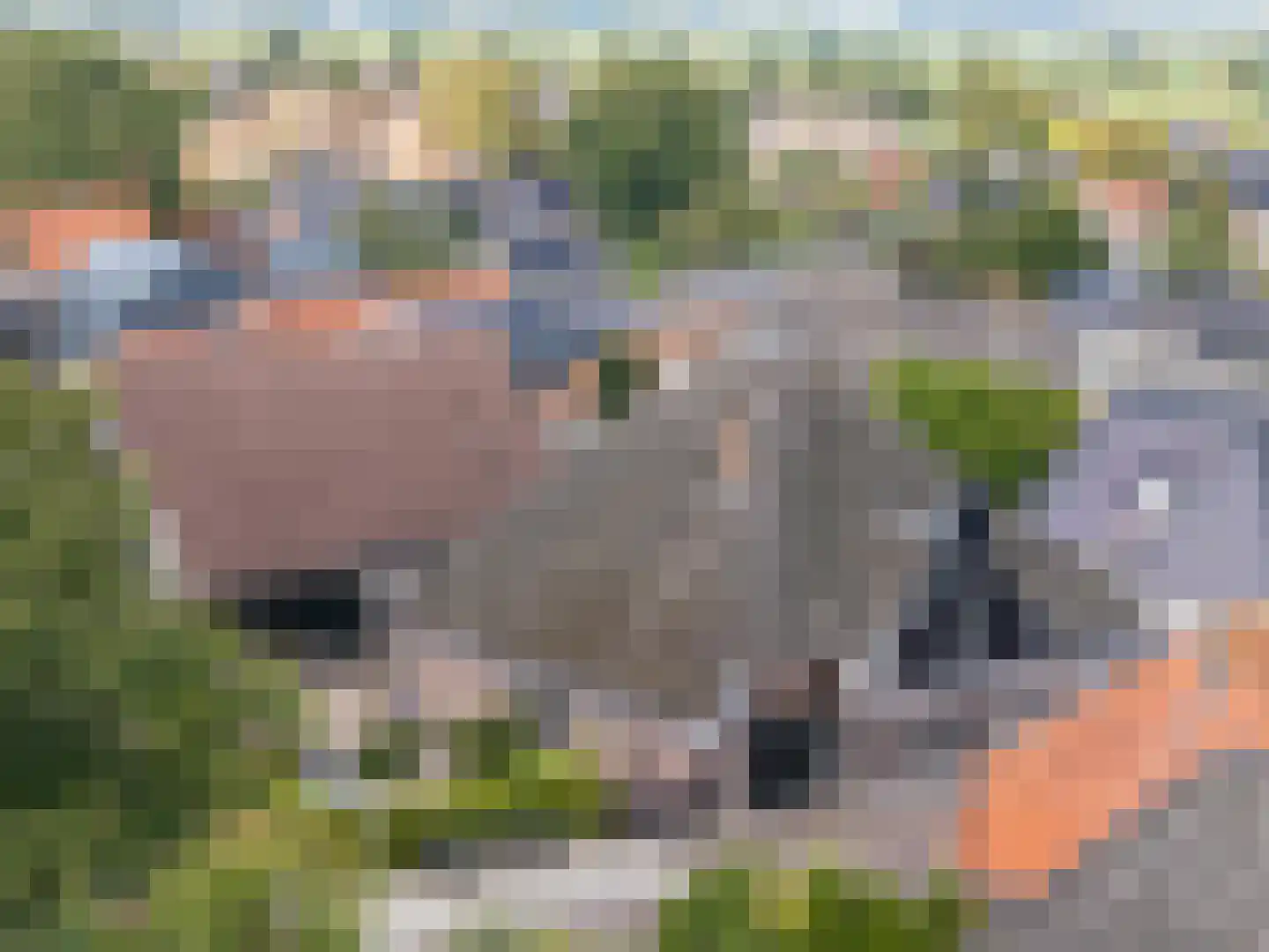 Herenweg 57 Hoogwoud thumbnail 66