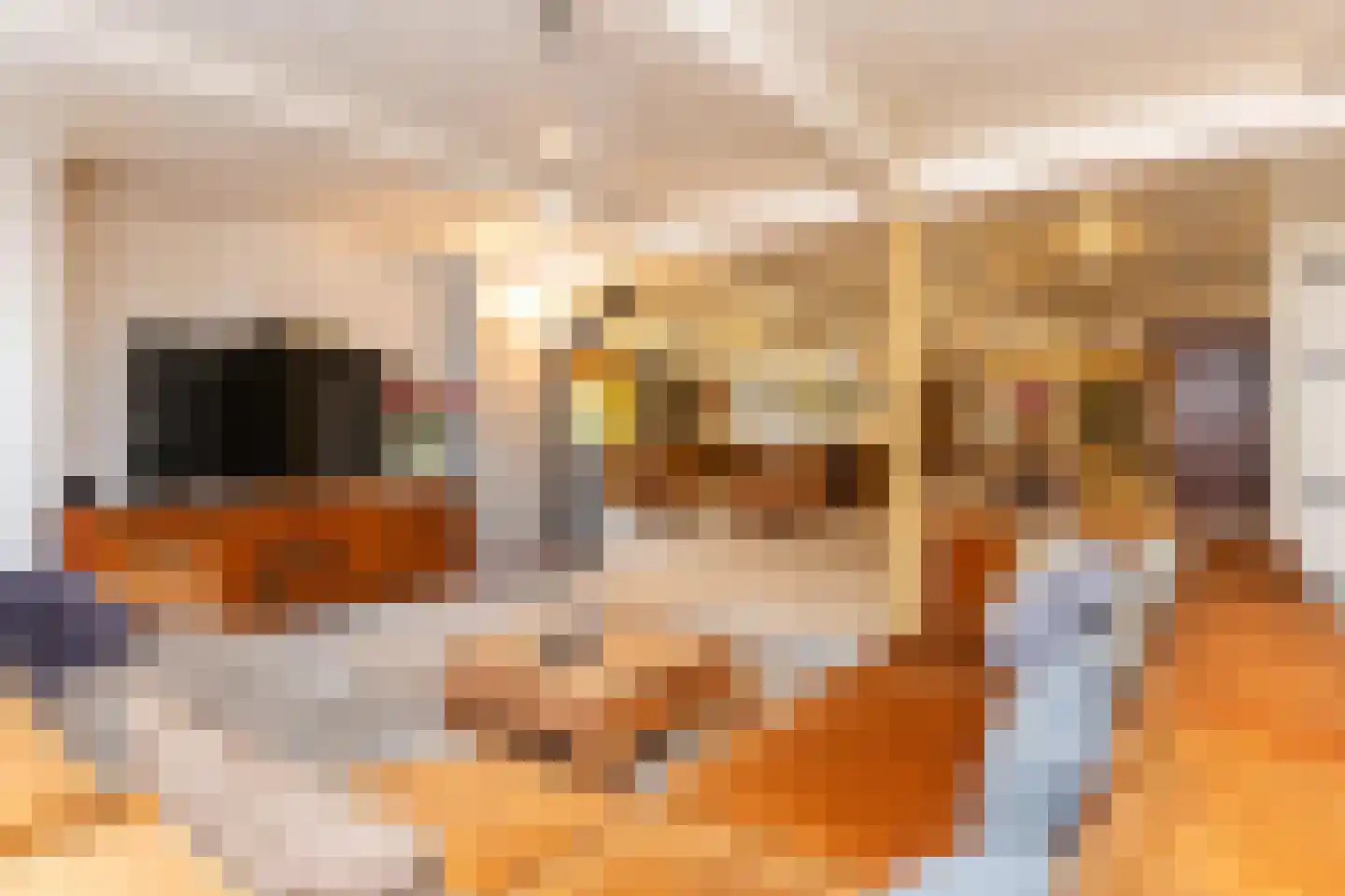 Herenweg 57 Hoogwoud thumbnail 7