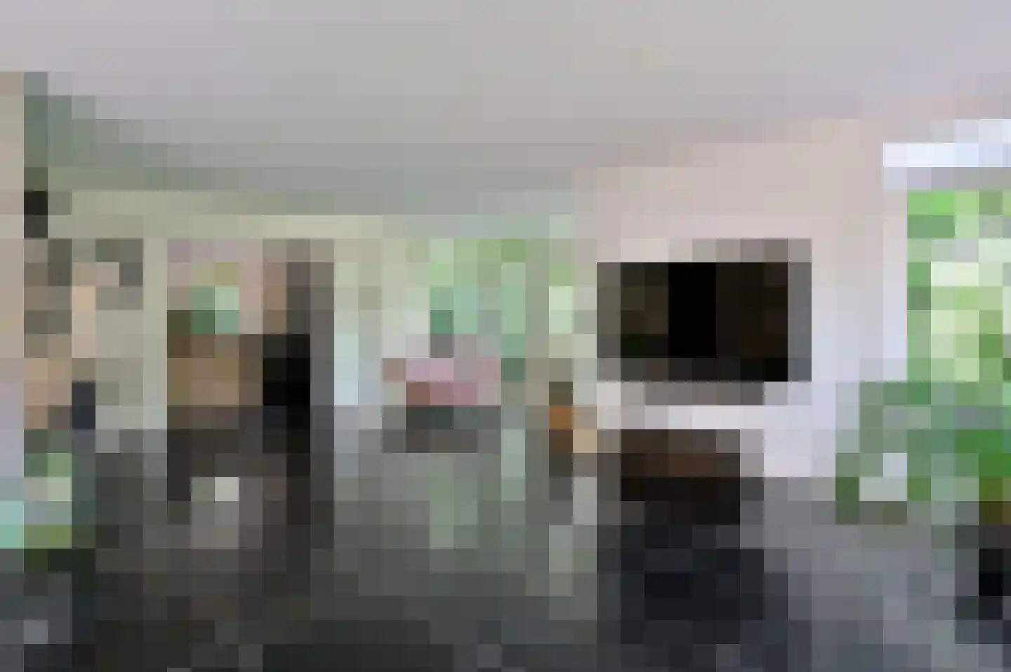 Herenweg 57 Wilnis thumbnail 6