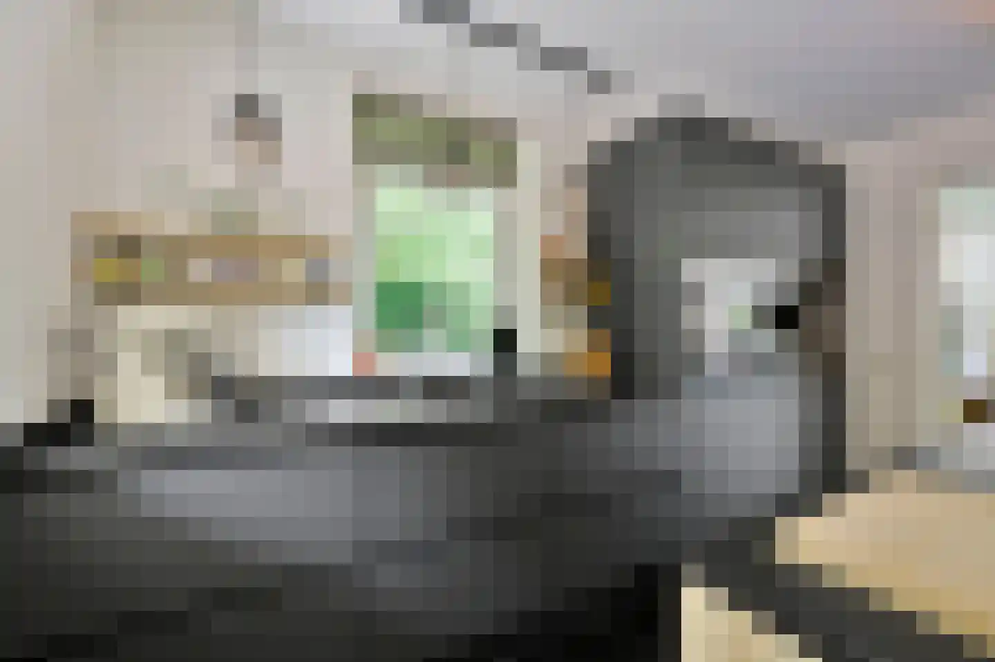 Herenweg 57 Wilnis thumbnail 9