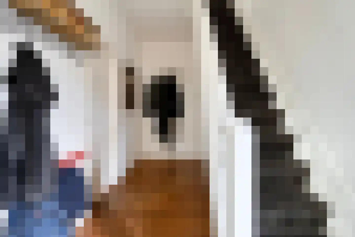 Herenweg 6 Donkerbroek thumbnail 11