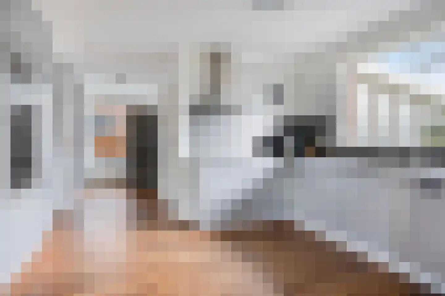 Herenweg 6 Donkerbroek thumbnail 5