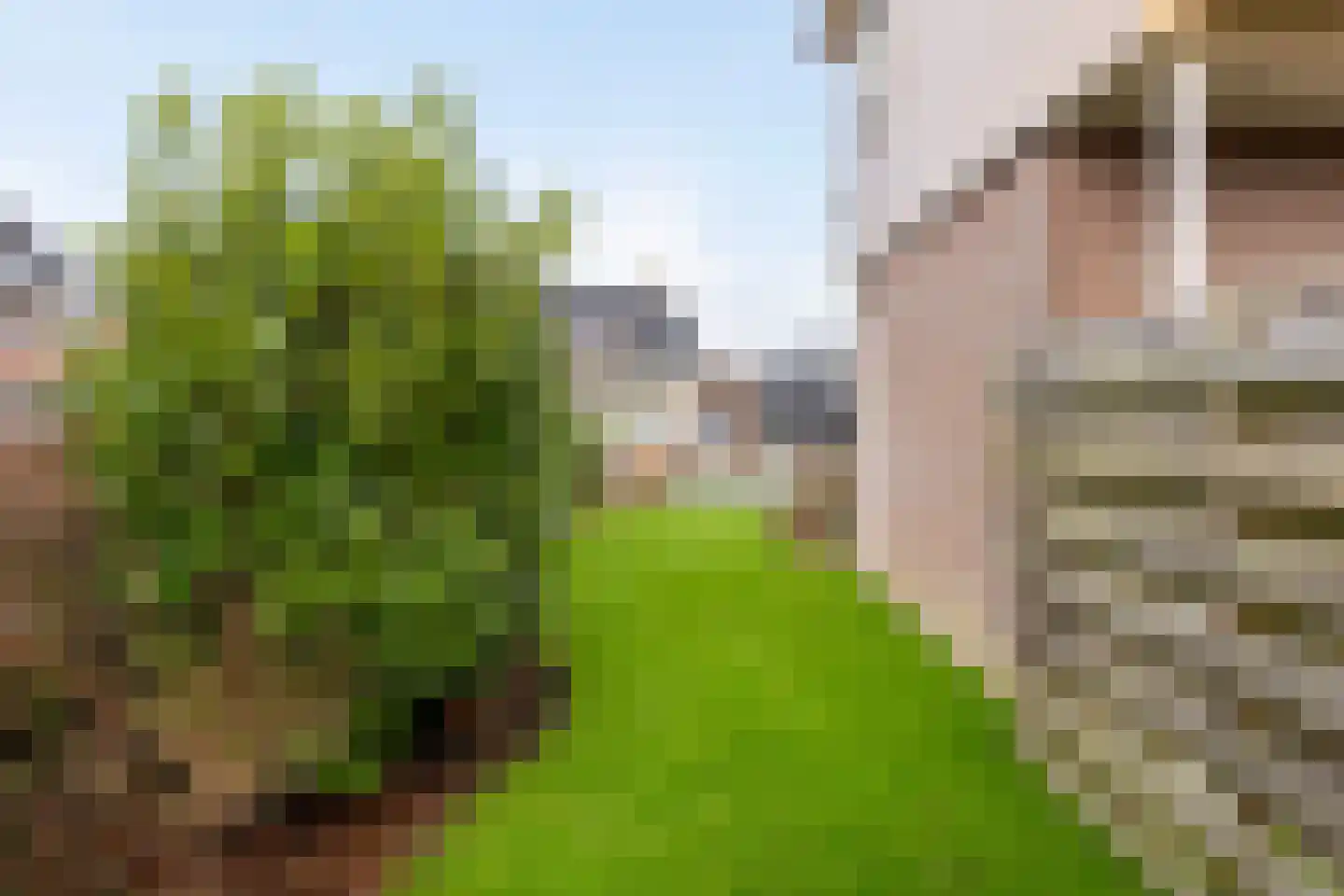 Herenweg 6 Donkerbroek thumbnail 55