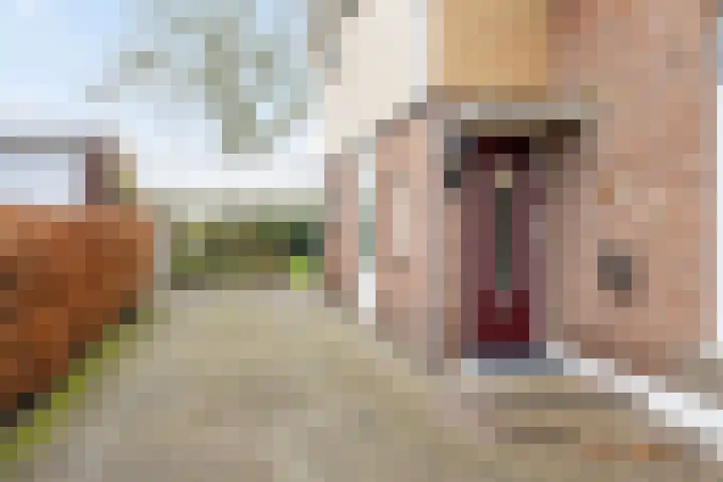 Herenweg 6 Donkerbroek thumbnail 9