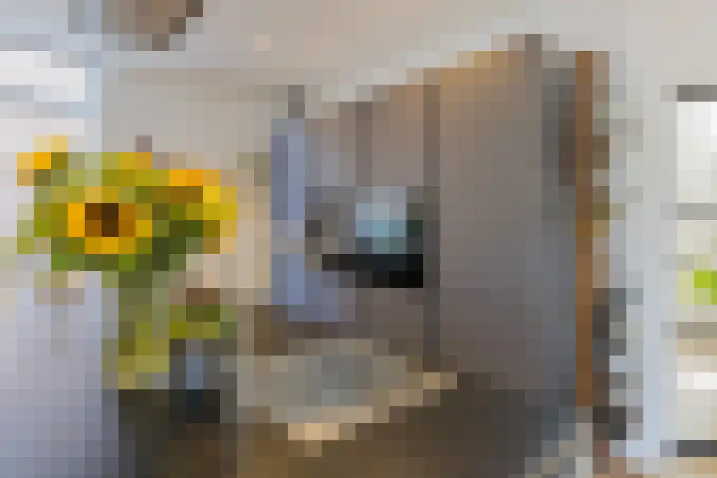 Herenweg 6 Warmond thumbnail 17