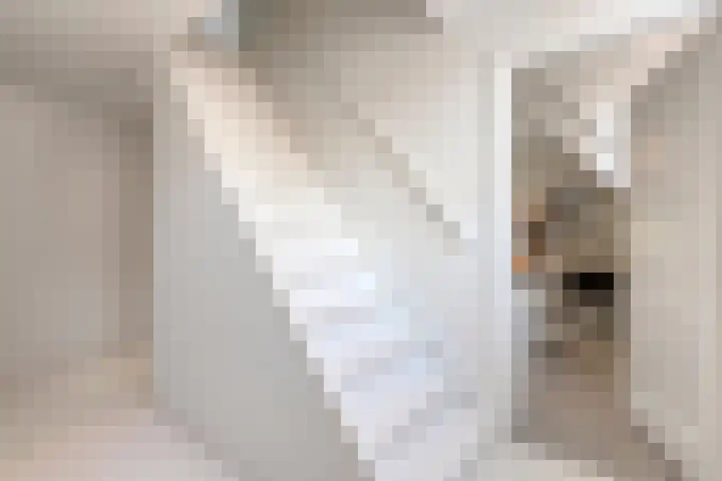 Herenweg 6 Zwolle thumbnail 30