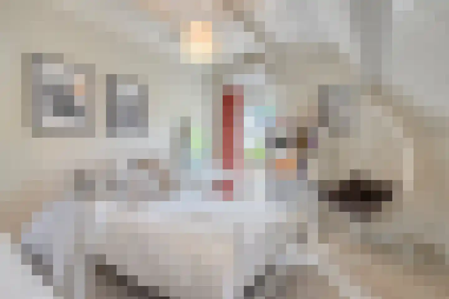 Herenweg 6 Zwolle thumbnail 33
