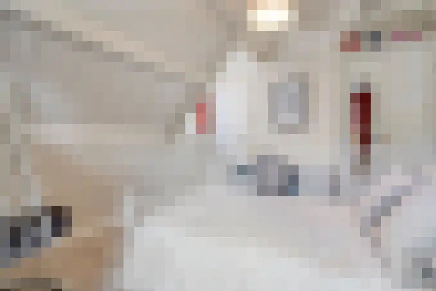 Herenweg 6 Zwolle thumbnail 34