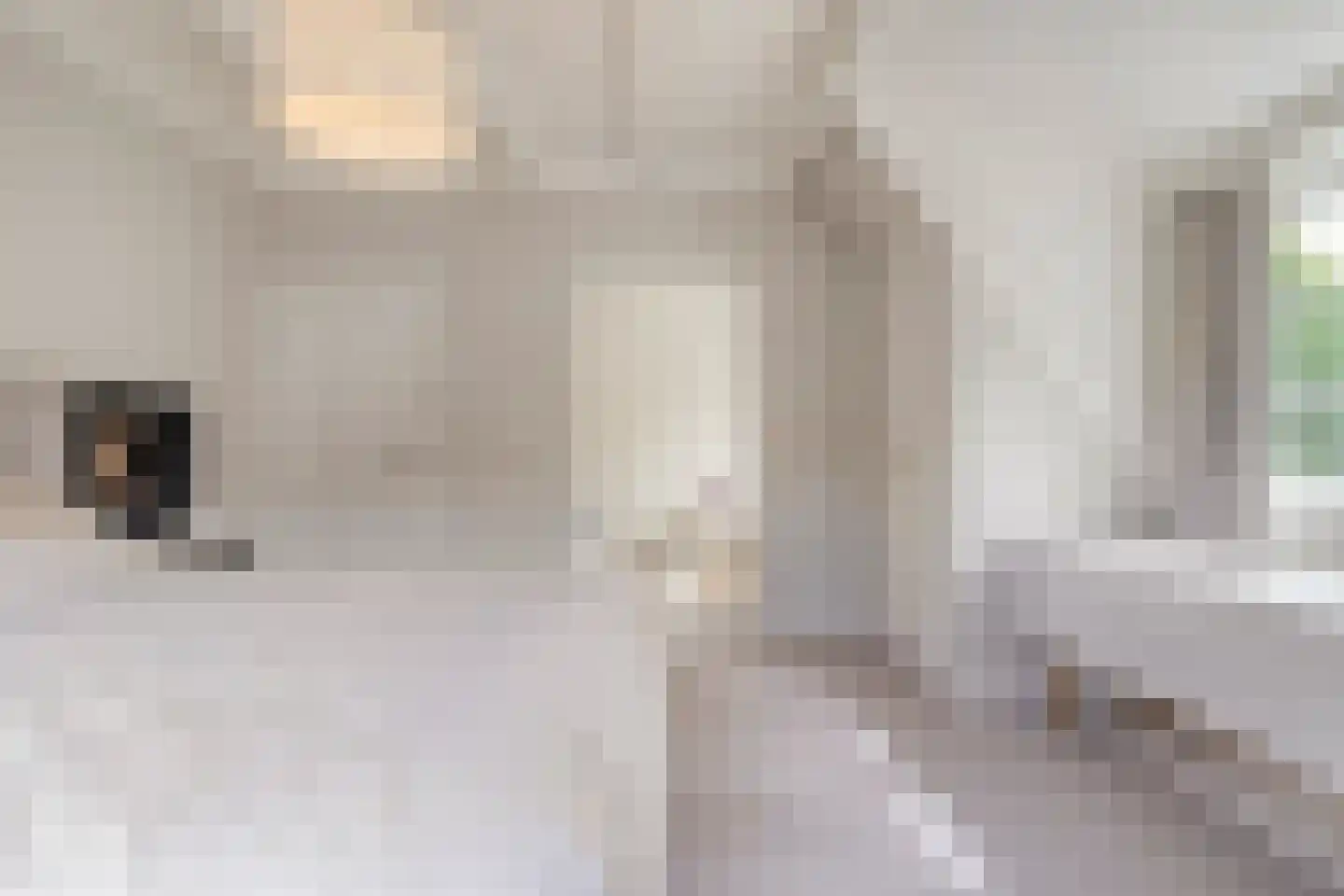 Herenweg 6 Zwolle thumbnail 36
