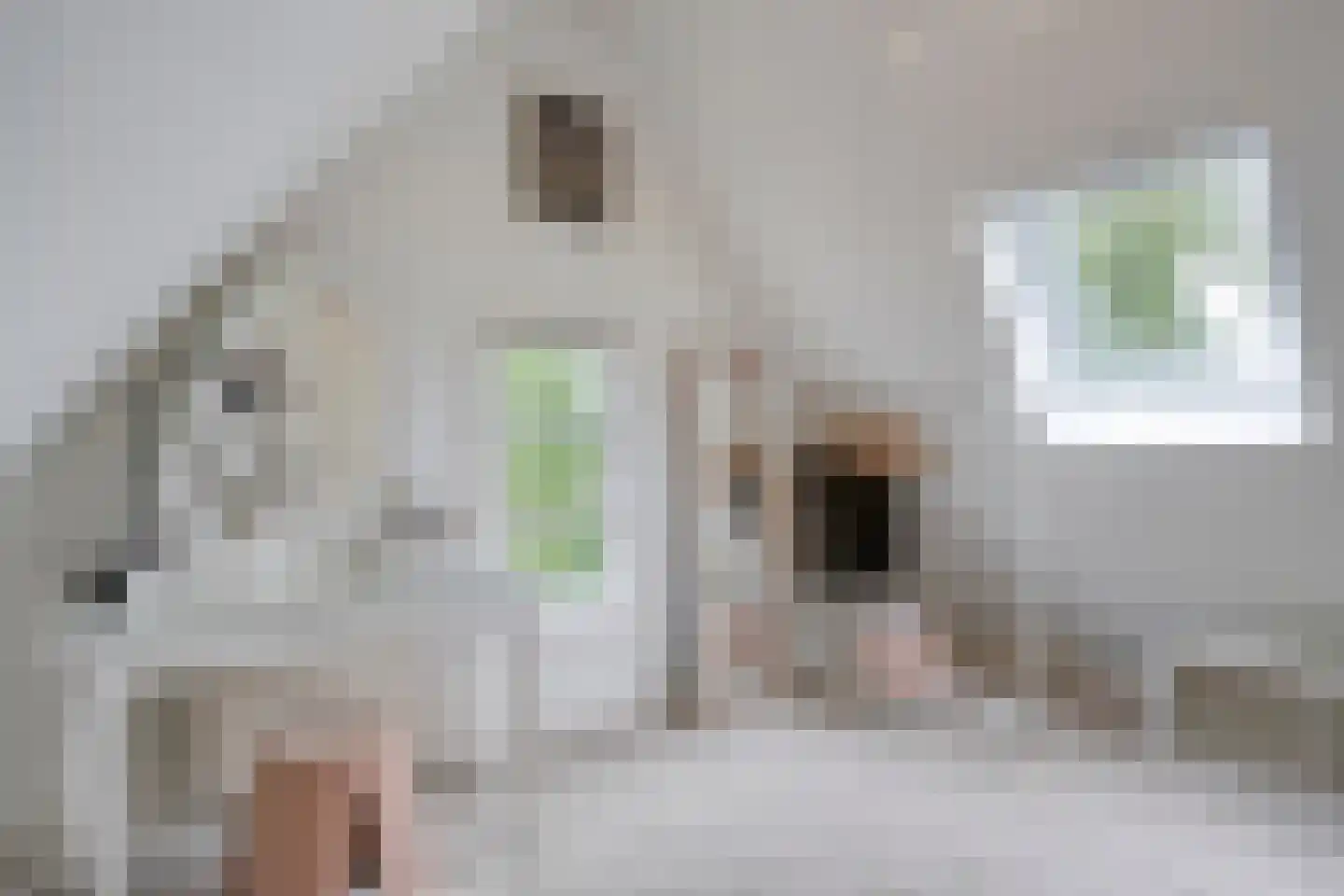 Herenweg 6 Zwolle thumbnail 49