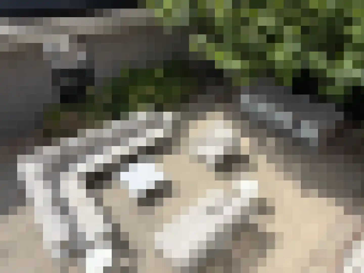 Herenweg 6 Zwolle thumbnail 53