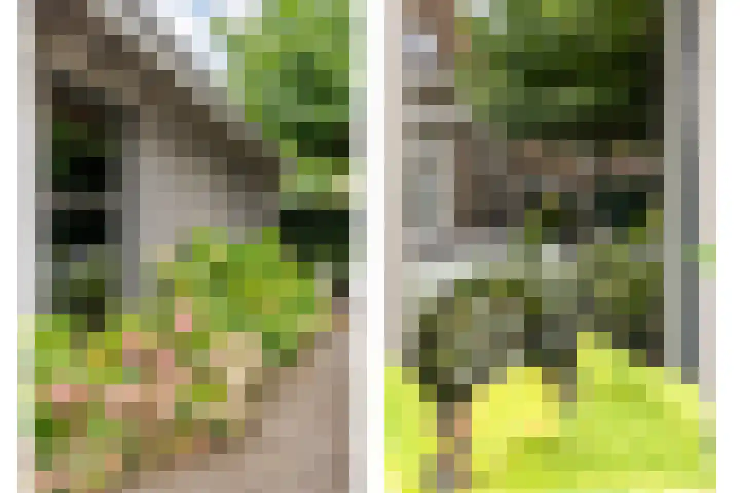 Herenweg 6 Zwolle thumbnail 61