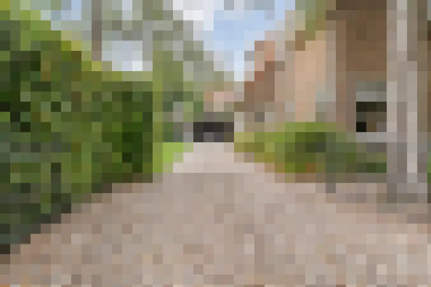 Herenweg 6 Zwolle thumbnail 7