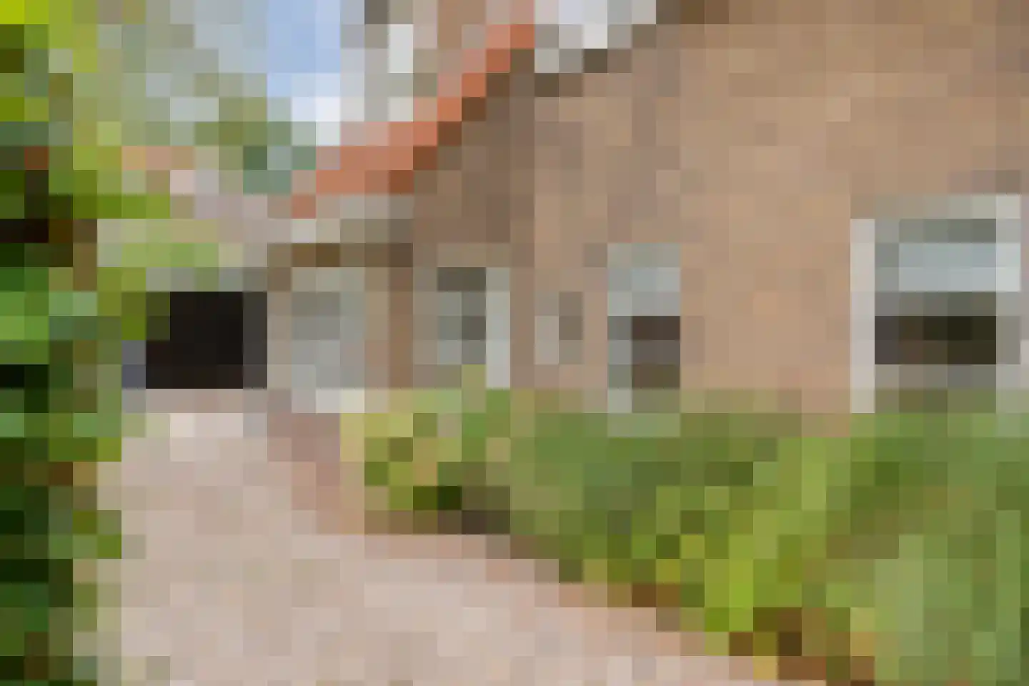 Herenweg 6 Zwolle thumbnail 8