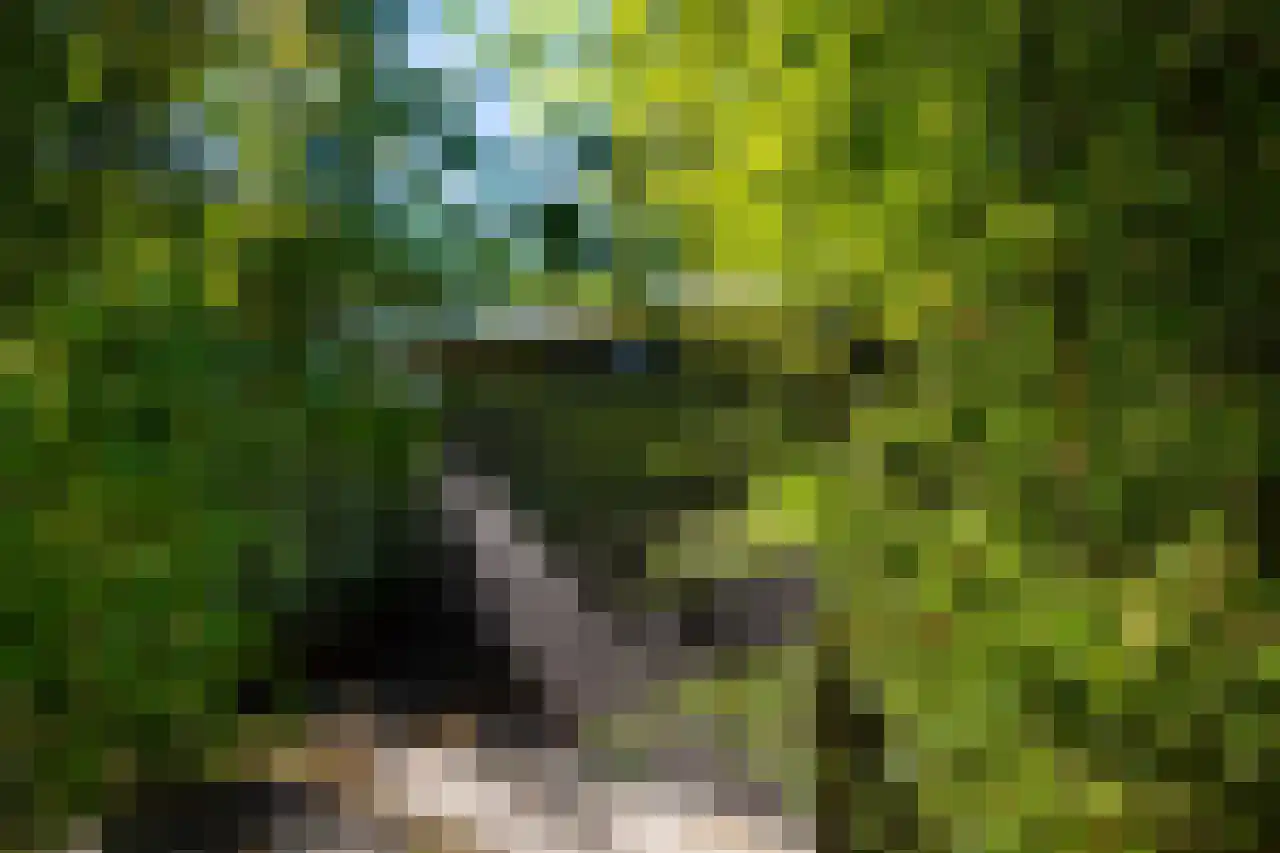 Herenweg 63 Rijnsaterwoude thumbnail 12