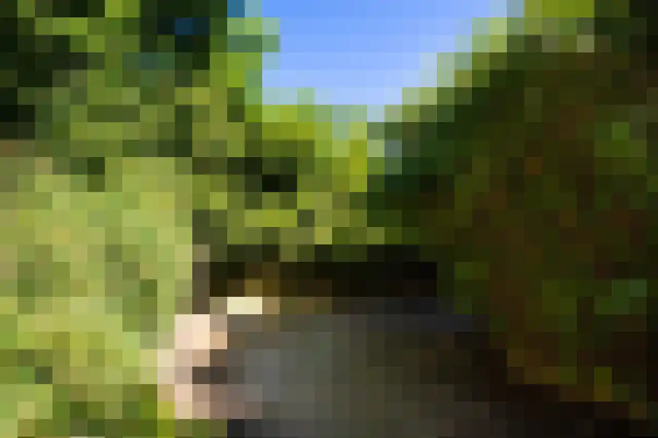 Herenweg 63 Rijnsaterwoude thumbnail 13