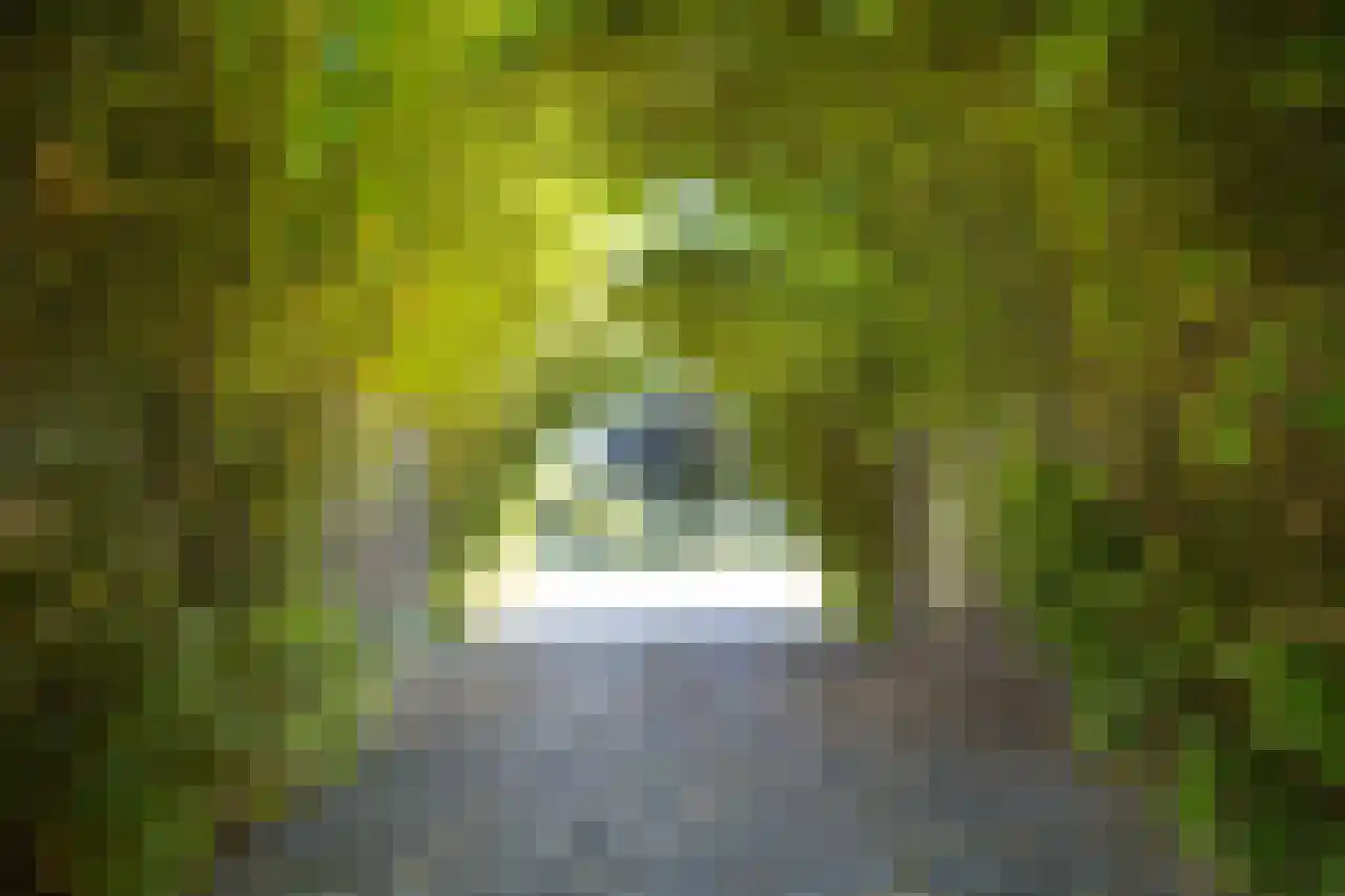 Herenweg 63 Rijnsaterwoude thumbnail 14