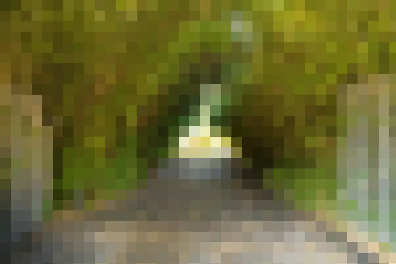 Herenweg 63 Rijnsaterwoude thumbnail 15