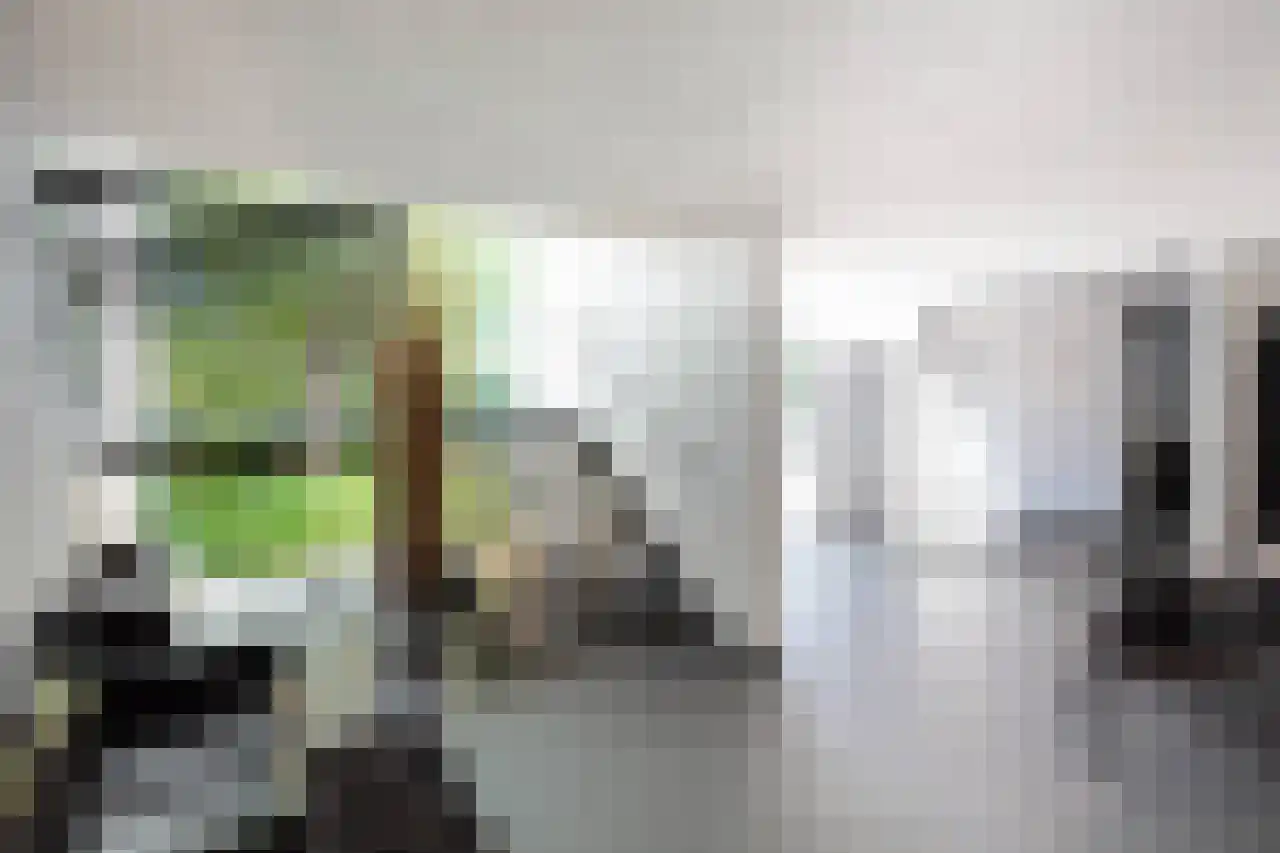 Herenweg 63 Rijnsaterwoude thumbnail 16