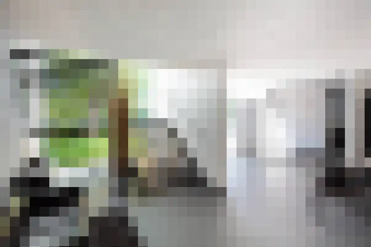 Herenweg 63 Rijnsaterwoude thumbnail 16