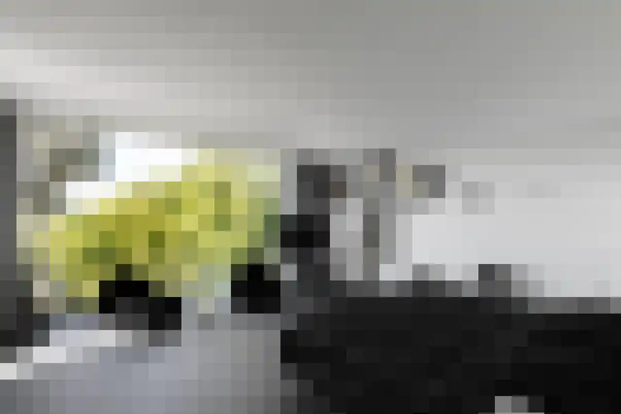 Herenweg 63 Rijnsaterwoude thumbnail 31